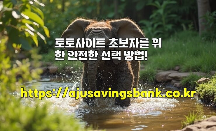 토토사이트 초보자를 위한 안전한 선택 방법!