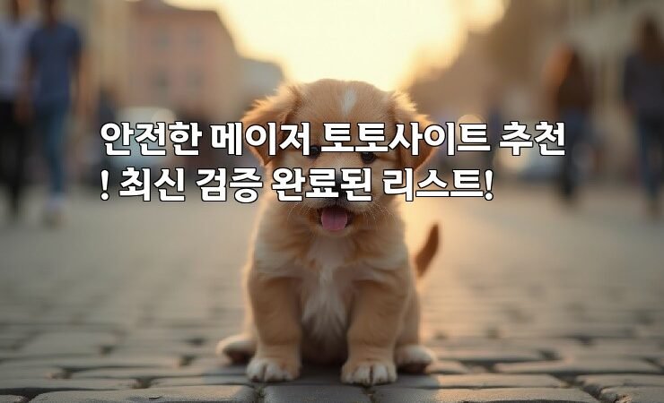 안전한 메이저 토토사이트 추천! 최신 검증 완료된 리스트!