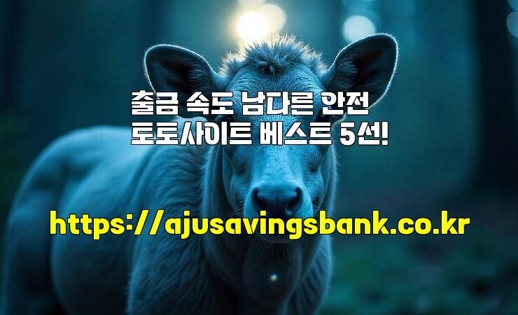 출금 속도 남다른 안전 토토사이트 베스트 5선!