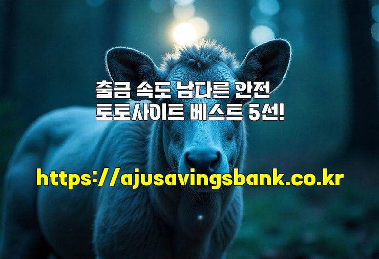 출금 속도 남다른 안전 토토사이트 베스트 5선!