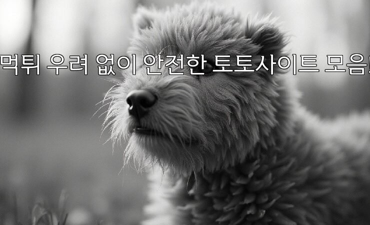 먹튀 우려 없이 안전한 토토사이트 모음!