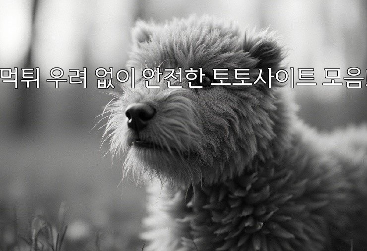 먹튀 우려 없이 안전한 토토사이트 모음!