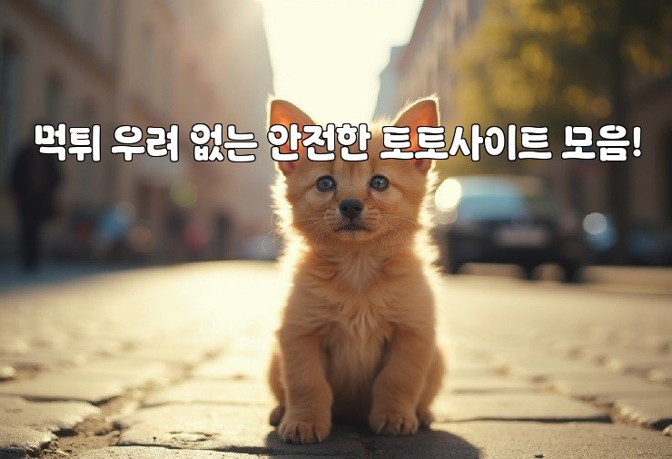 먹튀 우려 없는 안전한 토토사이트 모음!