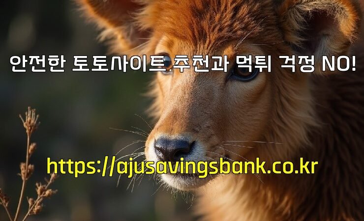 안전한 토토사이트 추천과 먹튀 걱정 NO!