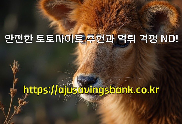 안전한 토토사이트 추천과 먹튀 걱정 NO!