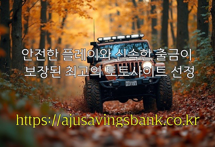 안전한 플레이와 신속한 출금이 보장된 최고의 토토사이트 선정