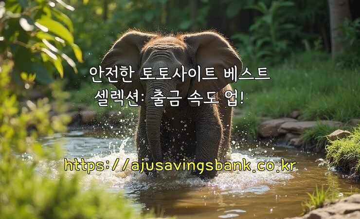 안전한 토토사이트 베스트 셀렉션: 출금 속도 업!