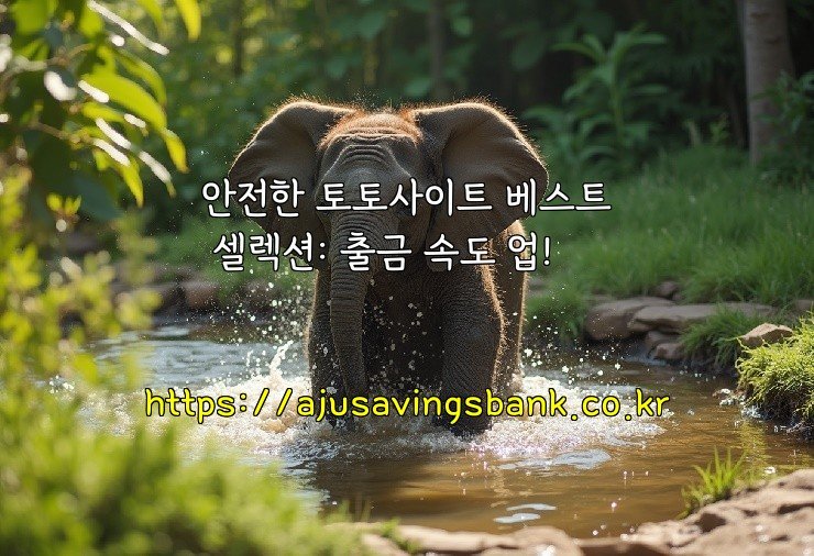 안전한 토토사이트 베스트 셀렉션: 출금 속도 업!