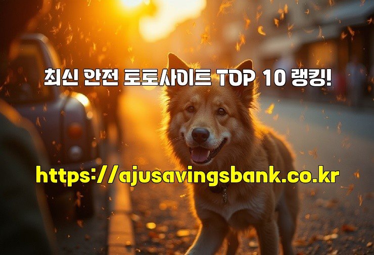 최신 안전 토토사이트 TOP 10 랭킹!