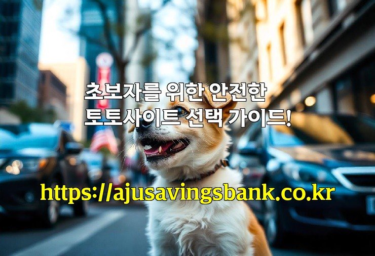 초보자를 위한 안전한 토토사이트 선택 가이드!