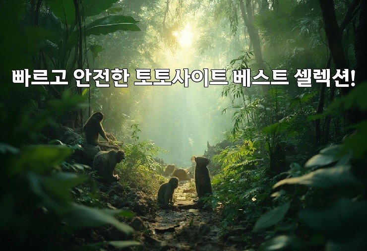 빠르고 안전한 토토사이트 베스트 셀렉션!