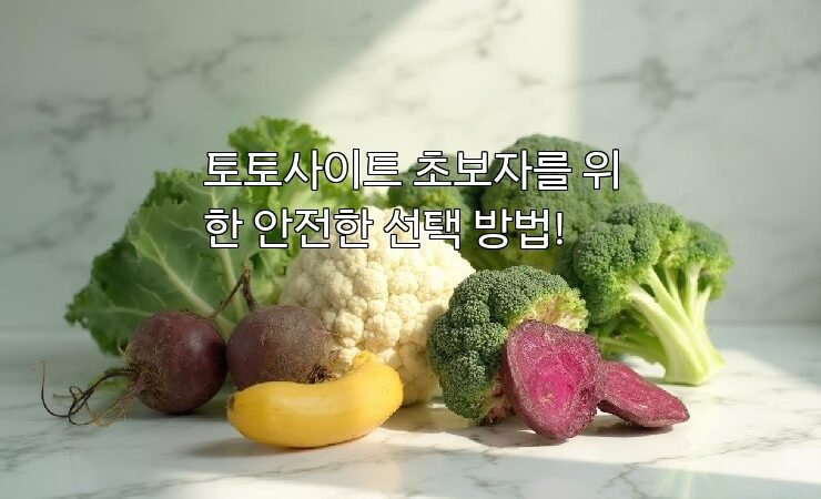 토토사이트 초보자를 위한 안전한 선택 방법!