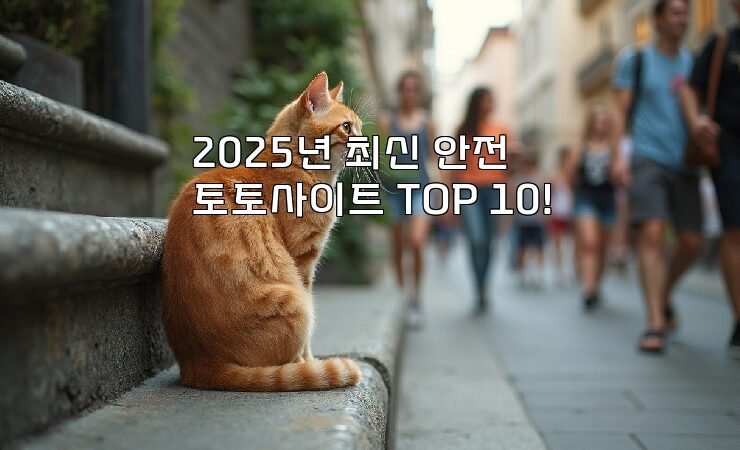 2025년 최신 안전 토토사이트 TOP 10!