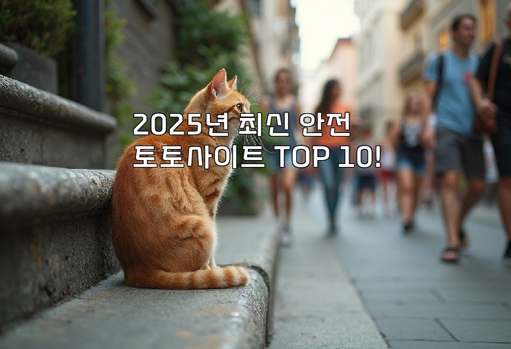 2025년 최신 안전 토토사이트 TOP 10!