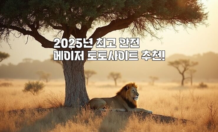 2025년 최고 안전 메이저 토토사이트 추천!