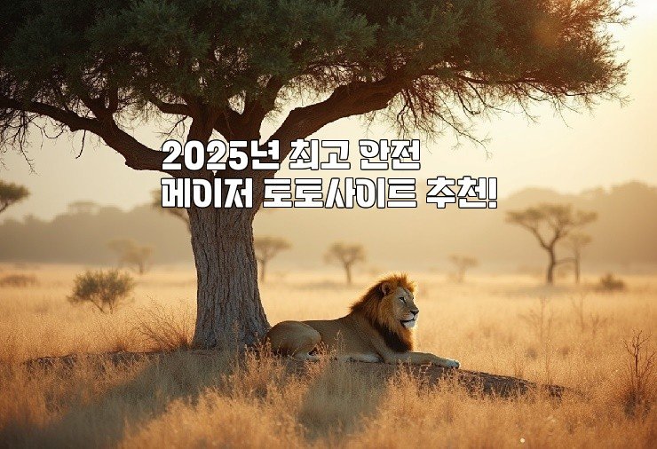 2025년 최고 안전 메이저 토토사이트 추천!