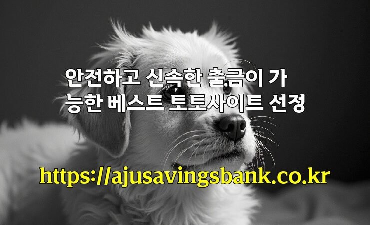 안전하고 신속한 출금이 가능한 베스트 토토사이트 선정