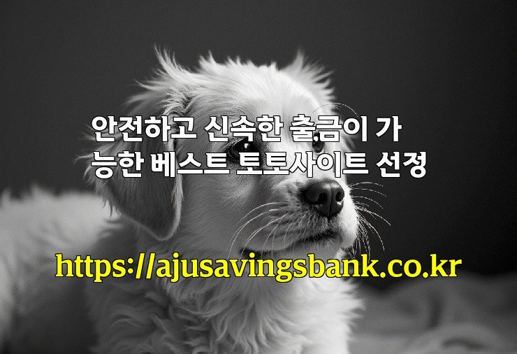 안전하고 신속한 출금이 가능한 베스트 토토사이트 선정