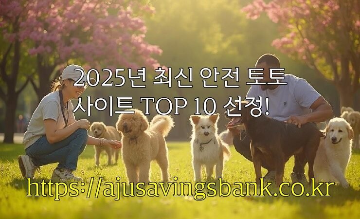 2025년 최신 안전 토토사이트 TOP 10 선정!