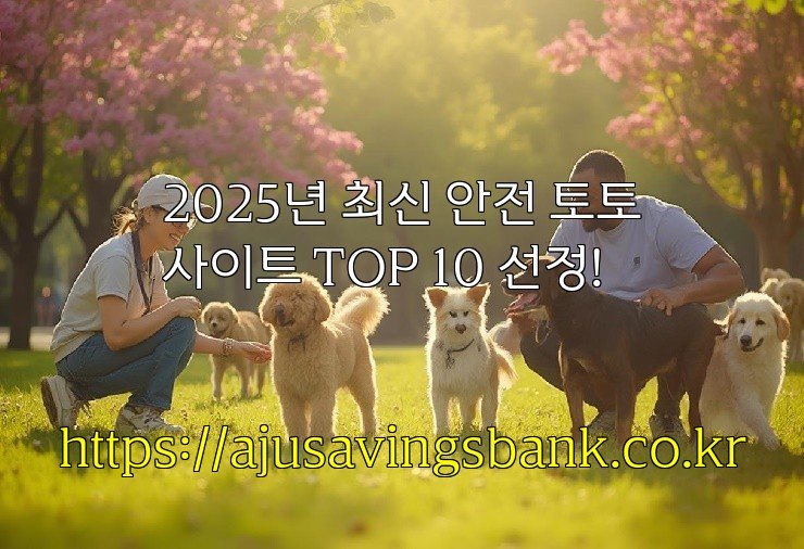 2025년 최신 안전 토토사이트 TOP 10 선정!