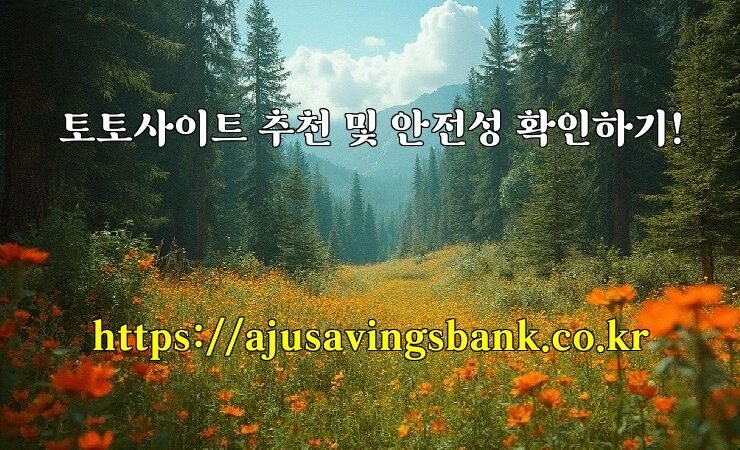 토토사이트 추천 및 안전성 확인하기!