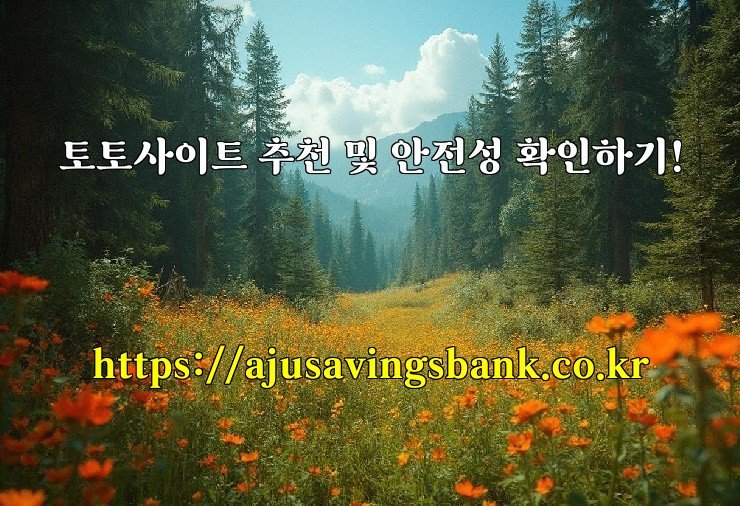 토토사이트 추천 및 안전성 확인하기!