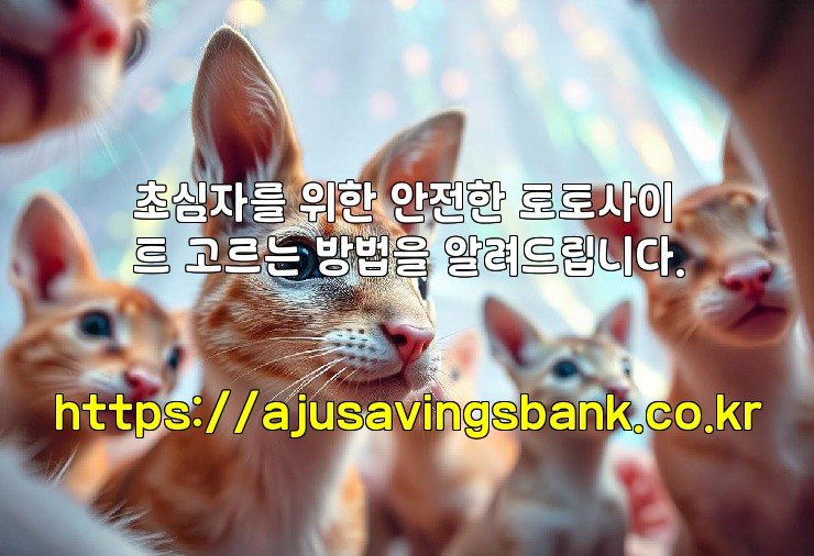 초심자를 위한 안전한 토토사이트 고르는 방법을 알려드립니다.