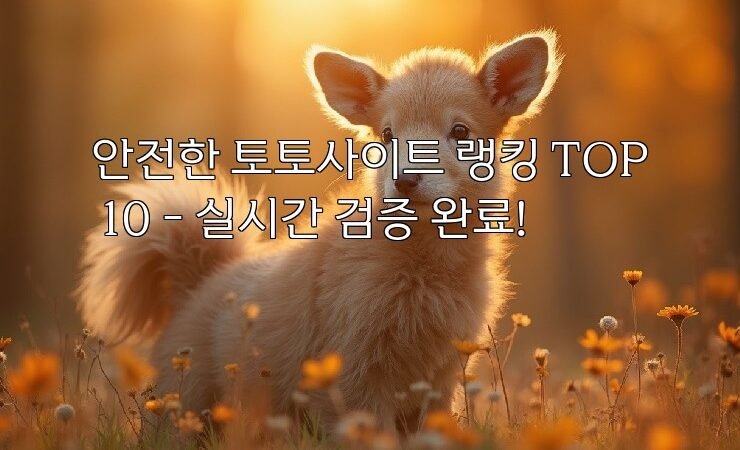 안전한 토토사이트 랭킹 TOP 10 – 실시간 검증 완료!