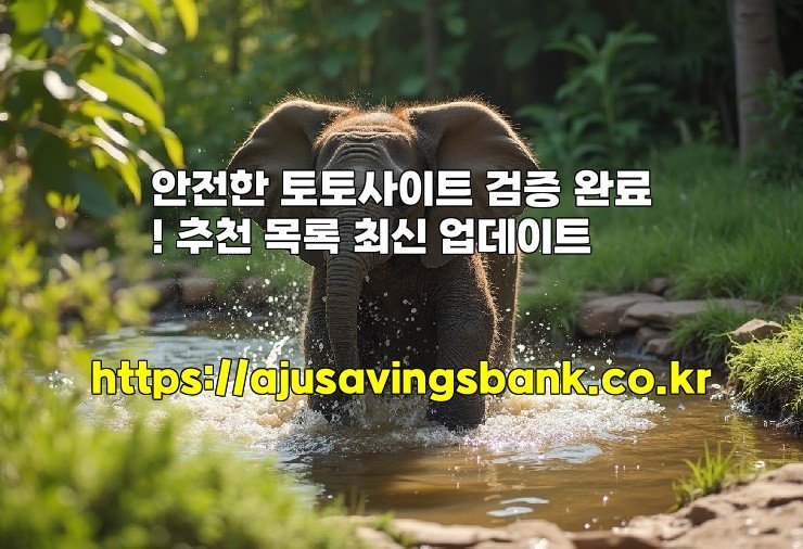 안전한 토토사이트 검증 완료! 추천 목록 최신 업데이트