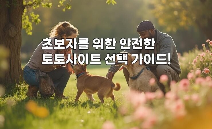 초보자를 위한 안전한 토토사이트 선택 가이드!