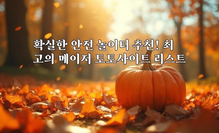 확실한 안전 놀이터 추천! 최고의 메이저 토토사이트 리스트