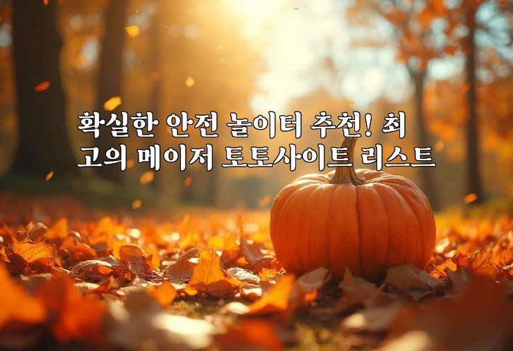 확실한 안전 놀이터 추천! 최고의 메이저 토토사이트 리스트
