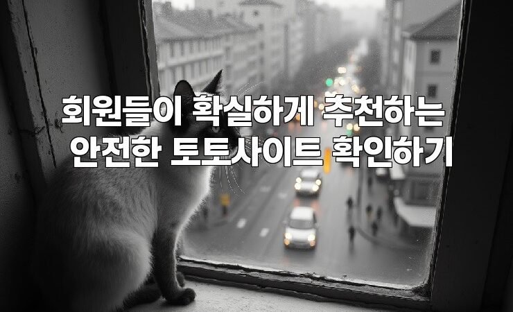 회원들이 확실하게 추천하는 안전한 토토사이트 확인하기