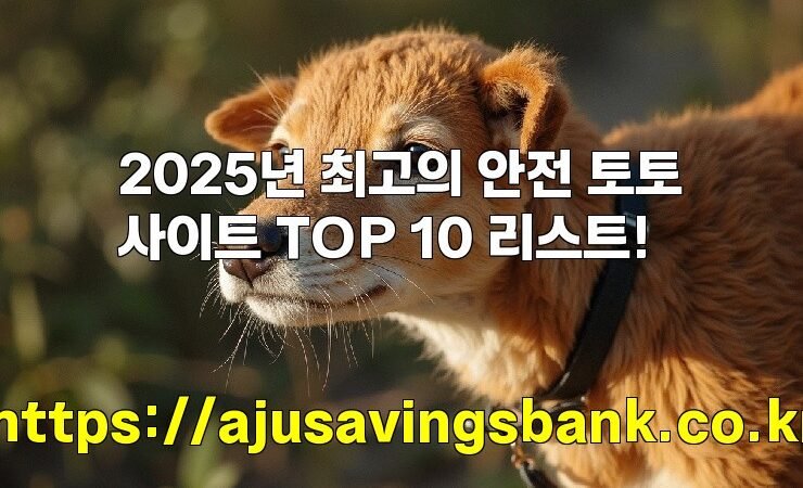 2025년 최고의 안전 토토사이트 TOP 10 리스트!