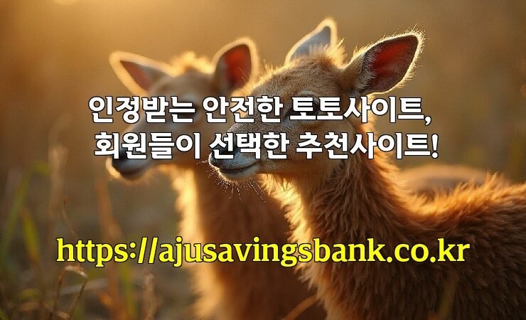 인정받는 안전한 토토사이트, 회원들이 선택한 추천사이트!