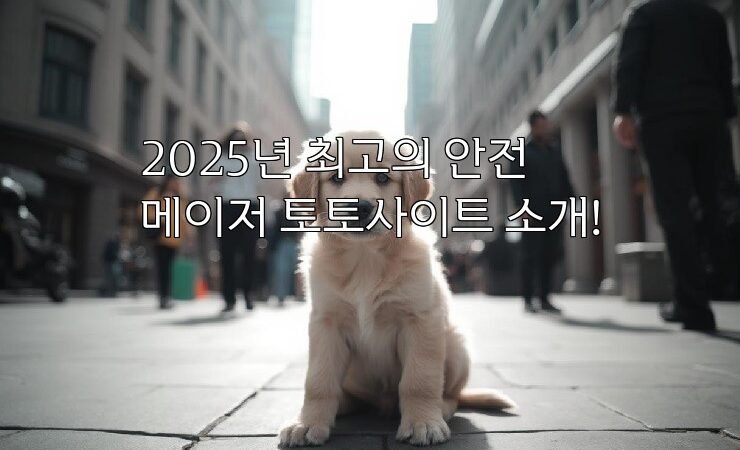 2025년 최고의 안전 메이저 토토사이트 소개!
