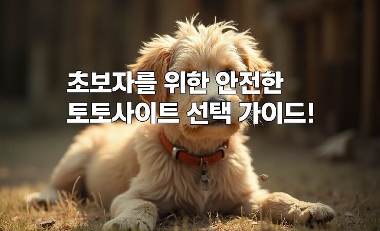 초보자를 위한 안전한 토토사이트 선택 가이드!