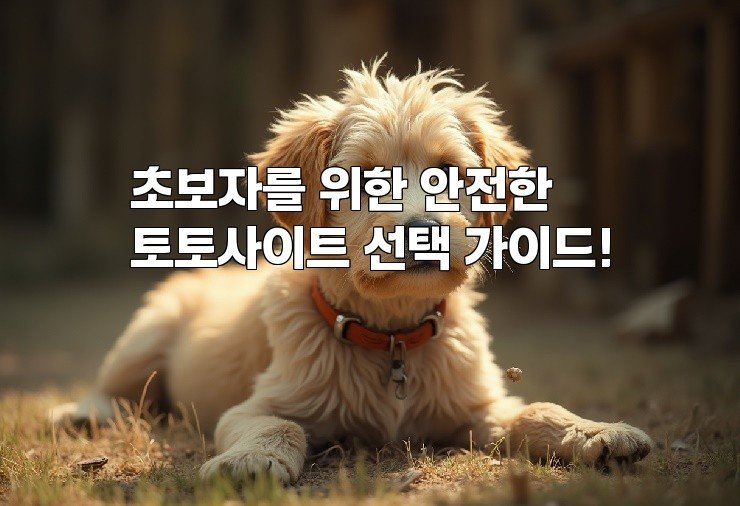 초보자를 위한 안전한 토토사이트 선택 가이드!