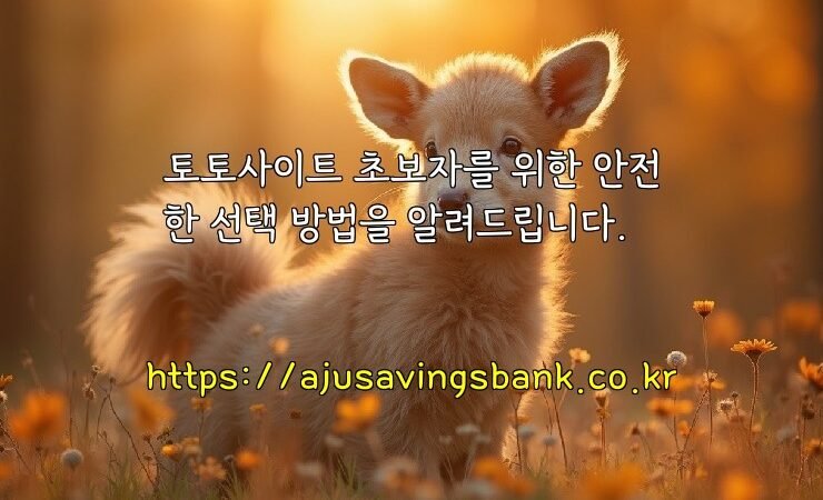토토사이트 초보자를 위한 안전한 선택 방법을 알려드립니다.