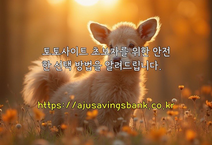 토토사이트 초보자를 위한 안전한 선택 방법을 알려드립니다.