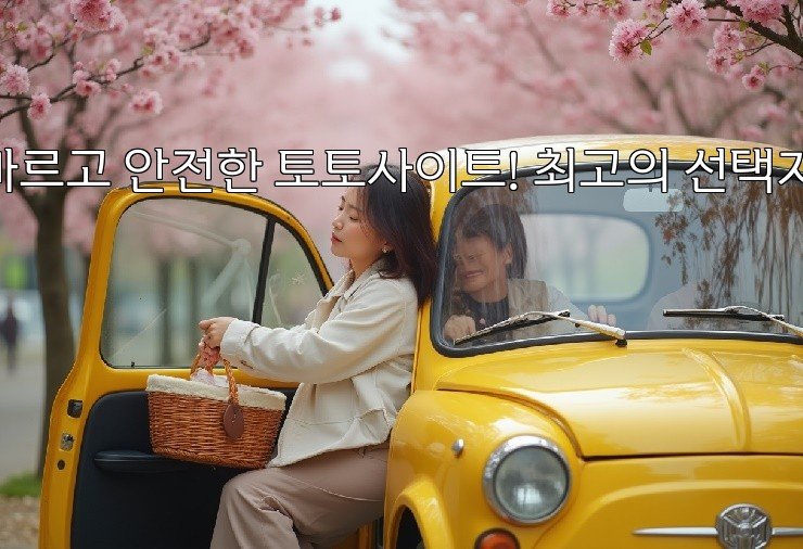 빠르고 안전한 토토사이트! 최고의 선택지