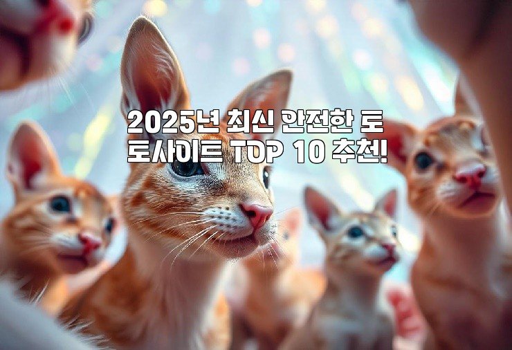 2025년 최신 안전한 토토사이트 TOP 10 추천!
