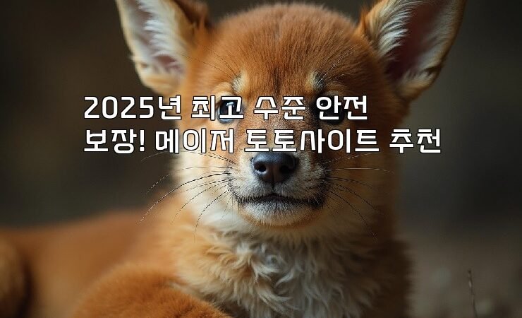 2025년 최고 수준 안전 보장! 메이저 토토사이트 추천