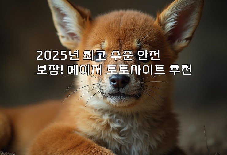 2025년 최고 수준 안전 보장! 메이저 토토사이트 추천
