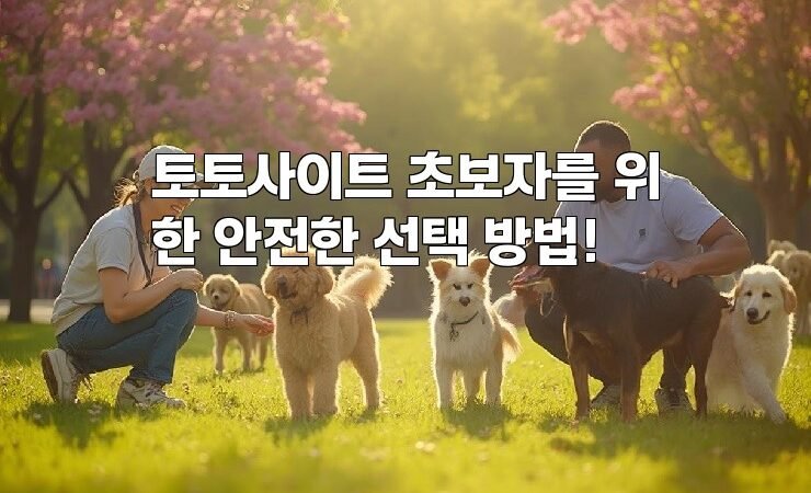 토토사이트 초보자를 위한 안전한 선택 방법!