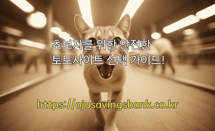 초보자를 위한 안전한 토토사이트 선택 가이드!