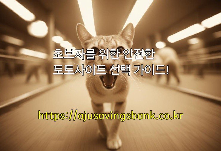 초보자를 위한 안전한 토토사이트 선택 가이드!