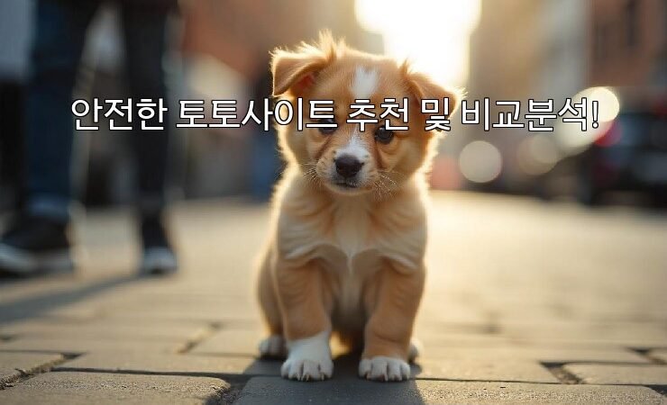 안전한 토토사이트 추천 및 비교분석!