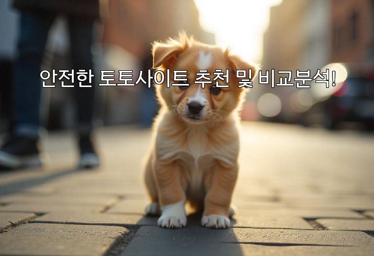 안전한 토토사이트 추천 및 비교분석!