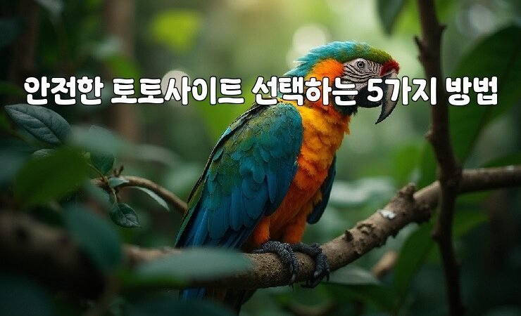 안전한 토토사이트 선택하는 5가지 방법